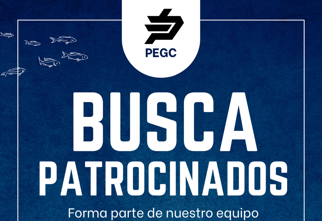 POSTULA A PATROCINADO DE PEGC