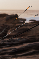 Alegranza Ajing & Rockfishing