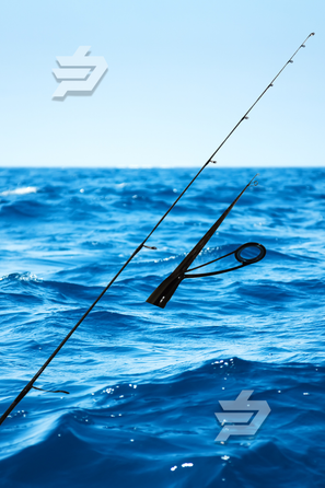 Pagrus Light Jigging