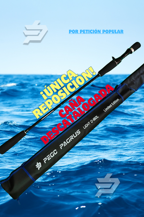 Pagrus Slow Light Jigging - ÚNICA REPOSICIÓN