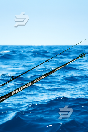 Pagrus Slow Light Jigging - ÚNICA REPOSICIÓN