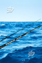 Pagrus Slow Light Jigging - ÚNICA REPOSICIÓN