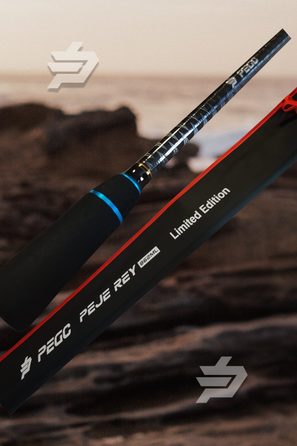 Pejerey Spinning Light