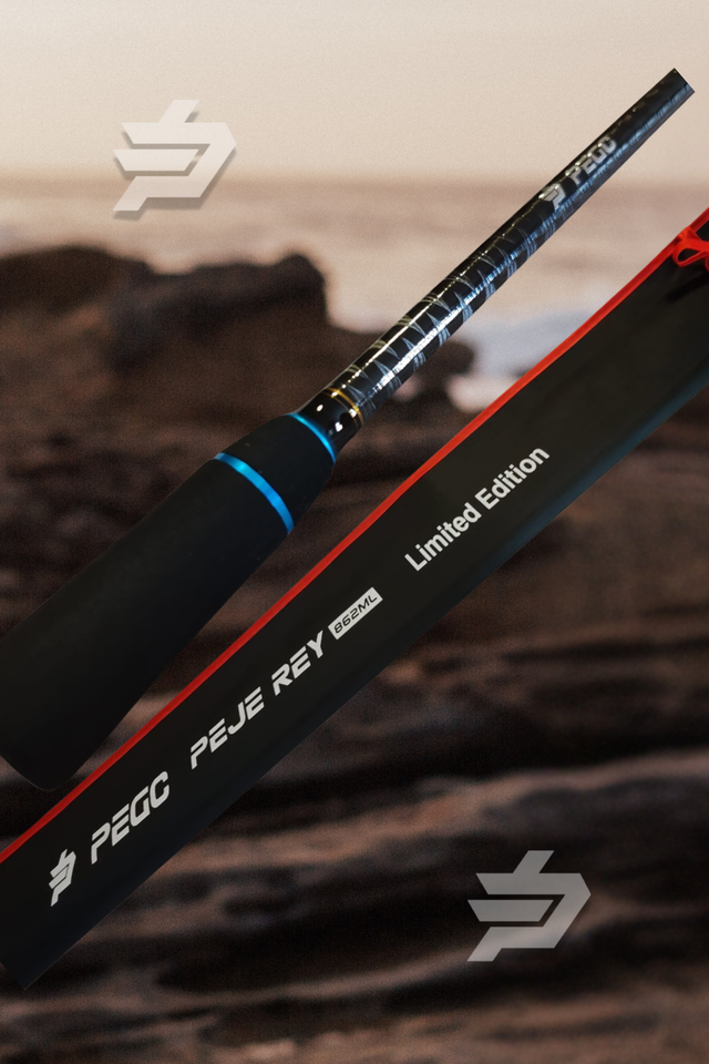 Pejerey Spinning Light